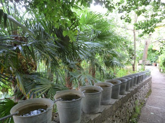 Jardin des Paradis