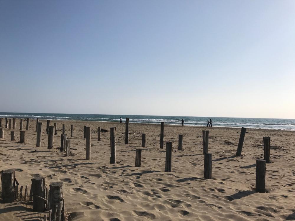 Espiguette Beach