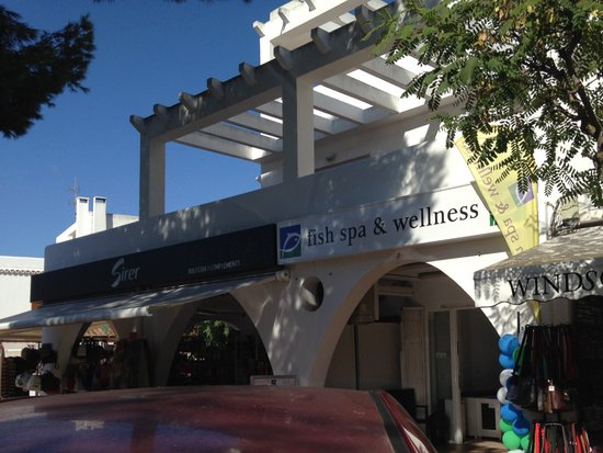 Fish Spa & Wellness
