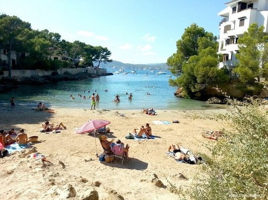 Calo d'en Pellicer