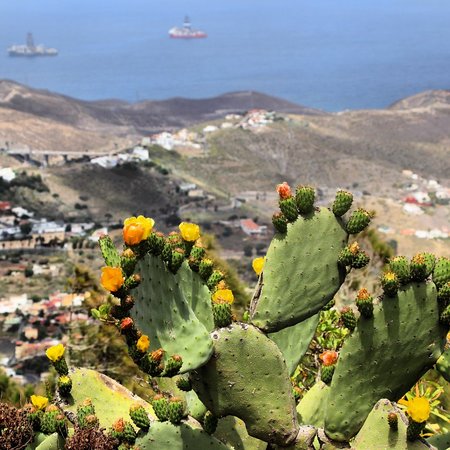 Mirador Pico de Bandama