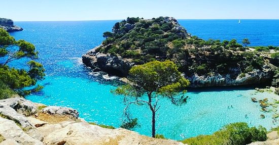 Trouble Shooter Majorca