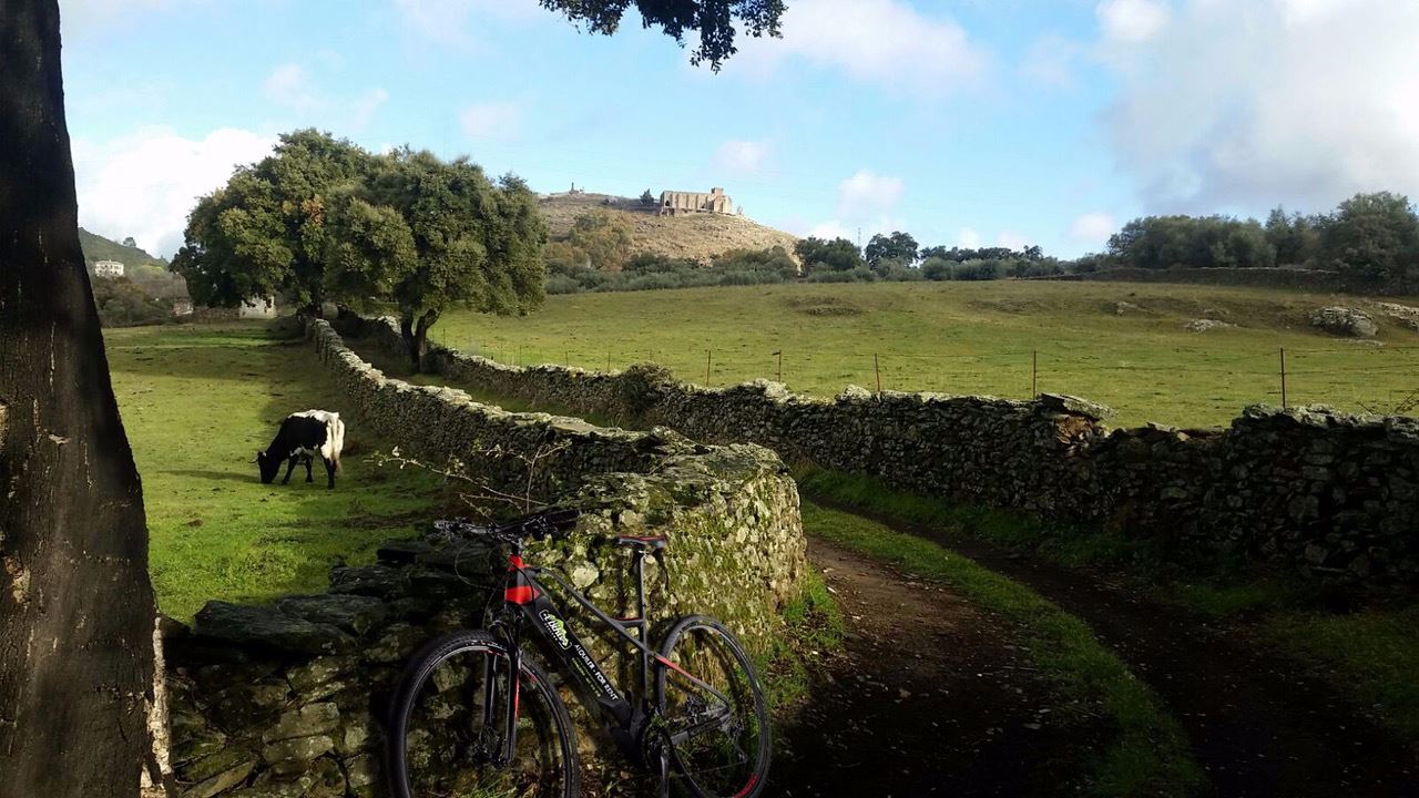 eBike Aracena