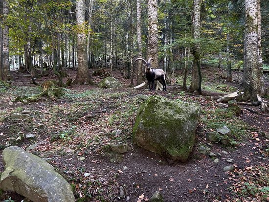 Aran Park