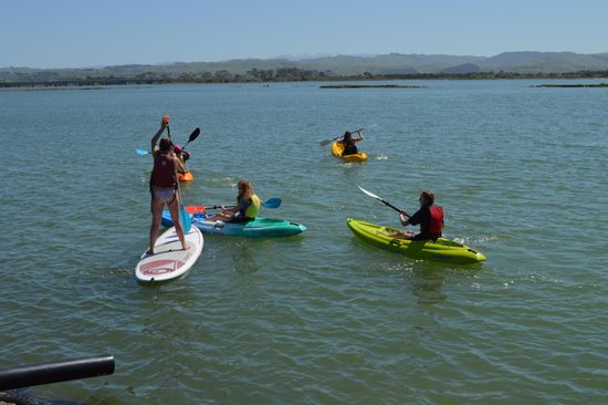 Ahuriri Estuary Walk
