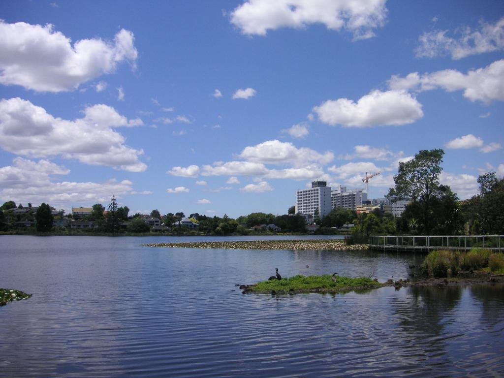 Hamilton Lake Domain