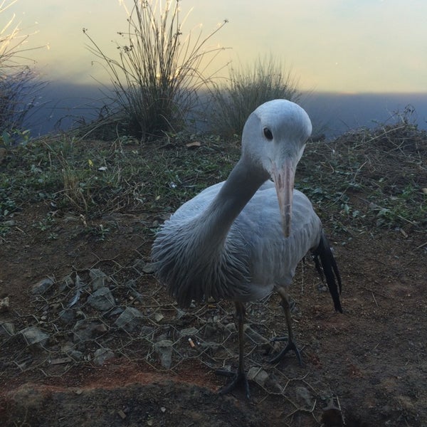 Austin Roberts Bird Sanctuary