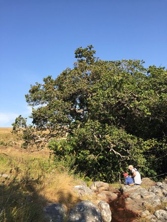 Umtamvuna Nature Reserve
