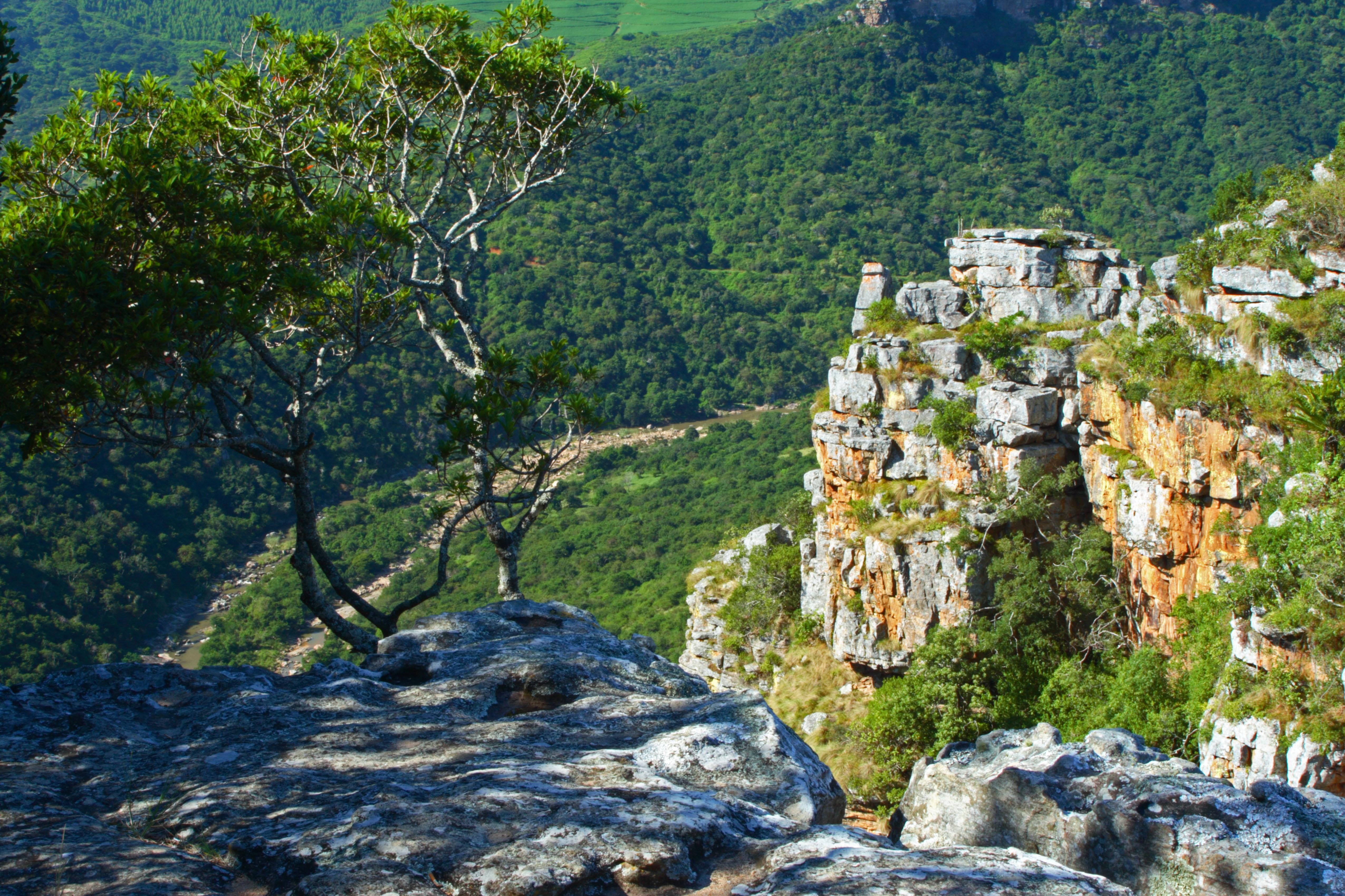 Oribi Gorge Nature Reserve