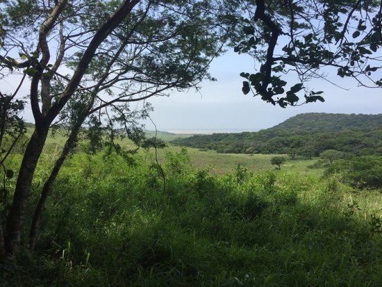 Amatikulu Nature Reserve