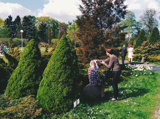 Botanical Garden of the Baltic Federal I. Kanta University