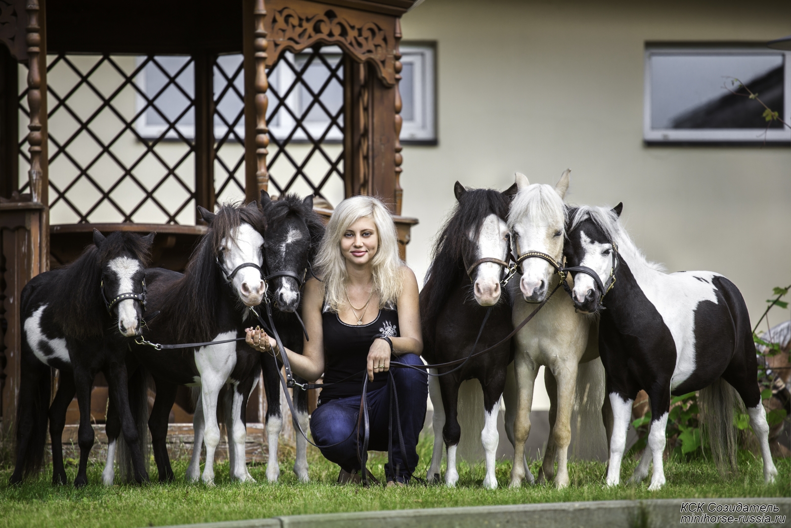 MINI-ZOO KSK Sozidatel