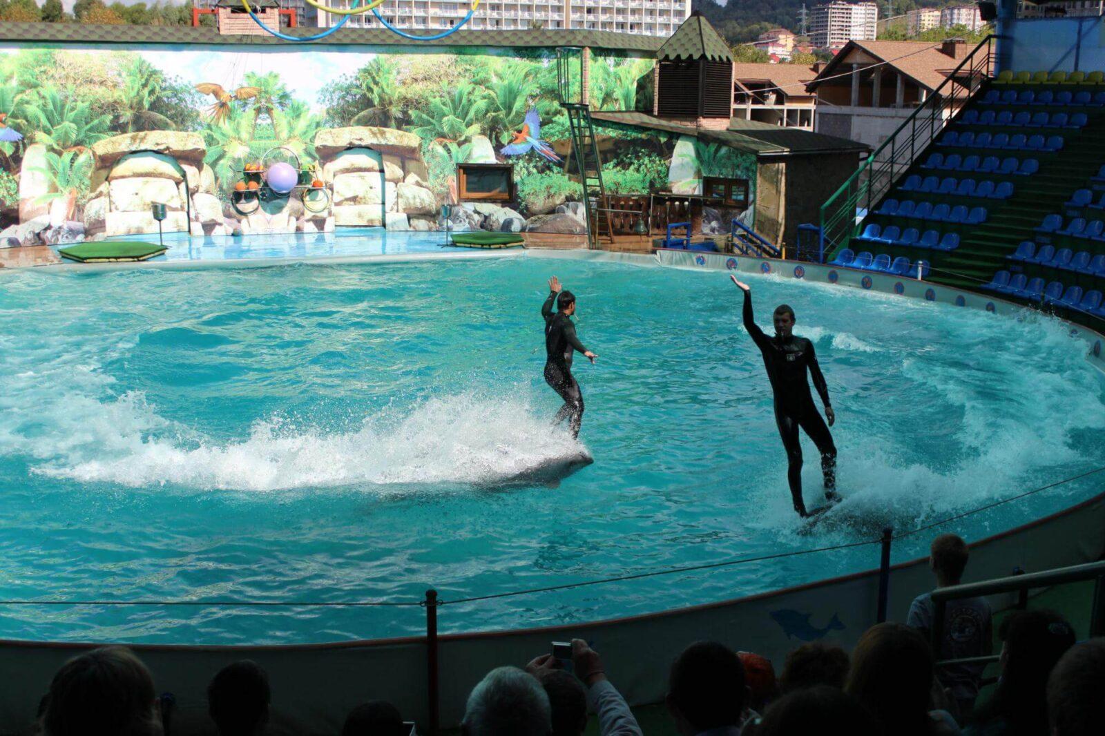 Adler Dolphinarium