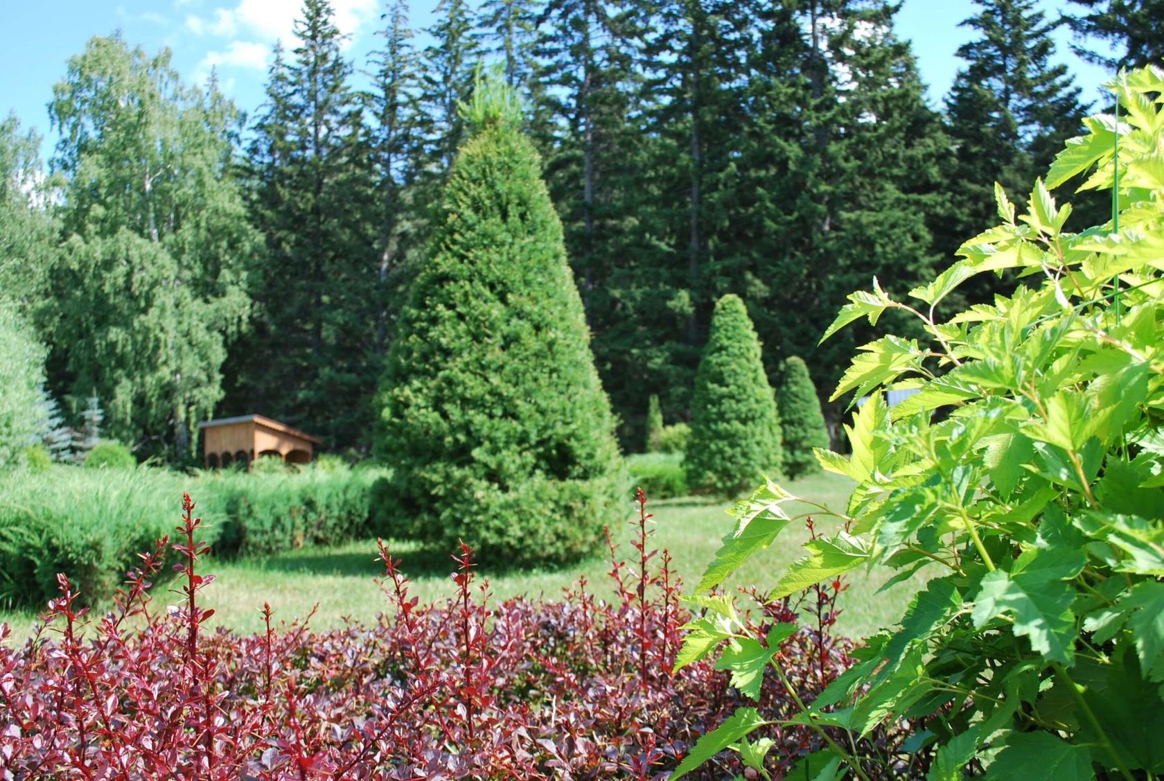 Central Siberian Botanical Garden