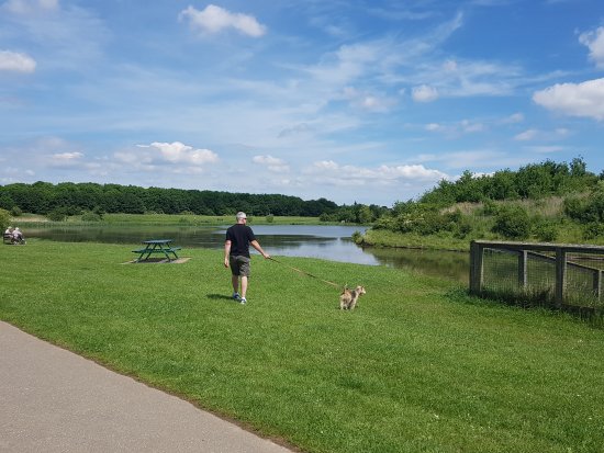 Cleethorpes Country Park