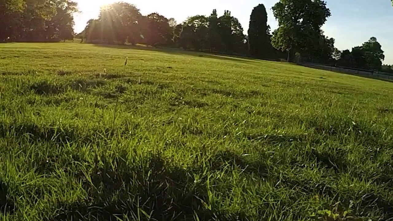 Outdoor Pictures 1