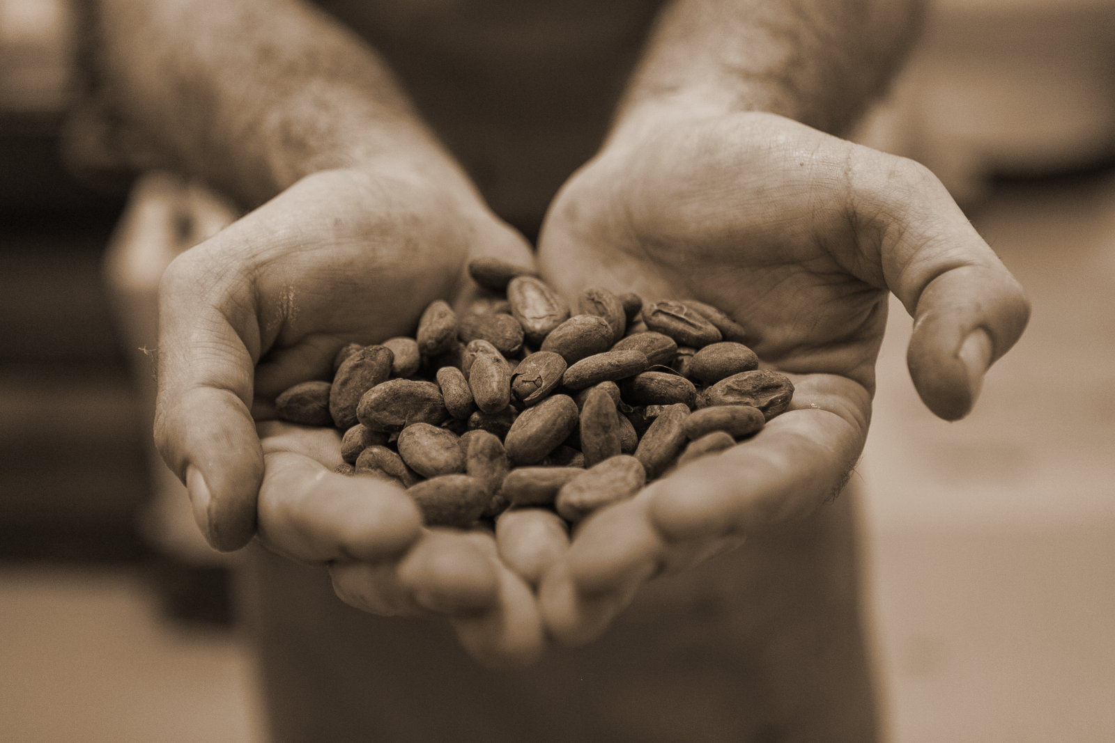 Tower Bridge