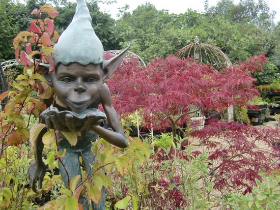 Denmans Garden