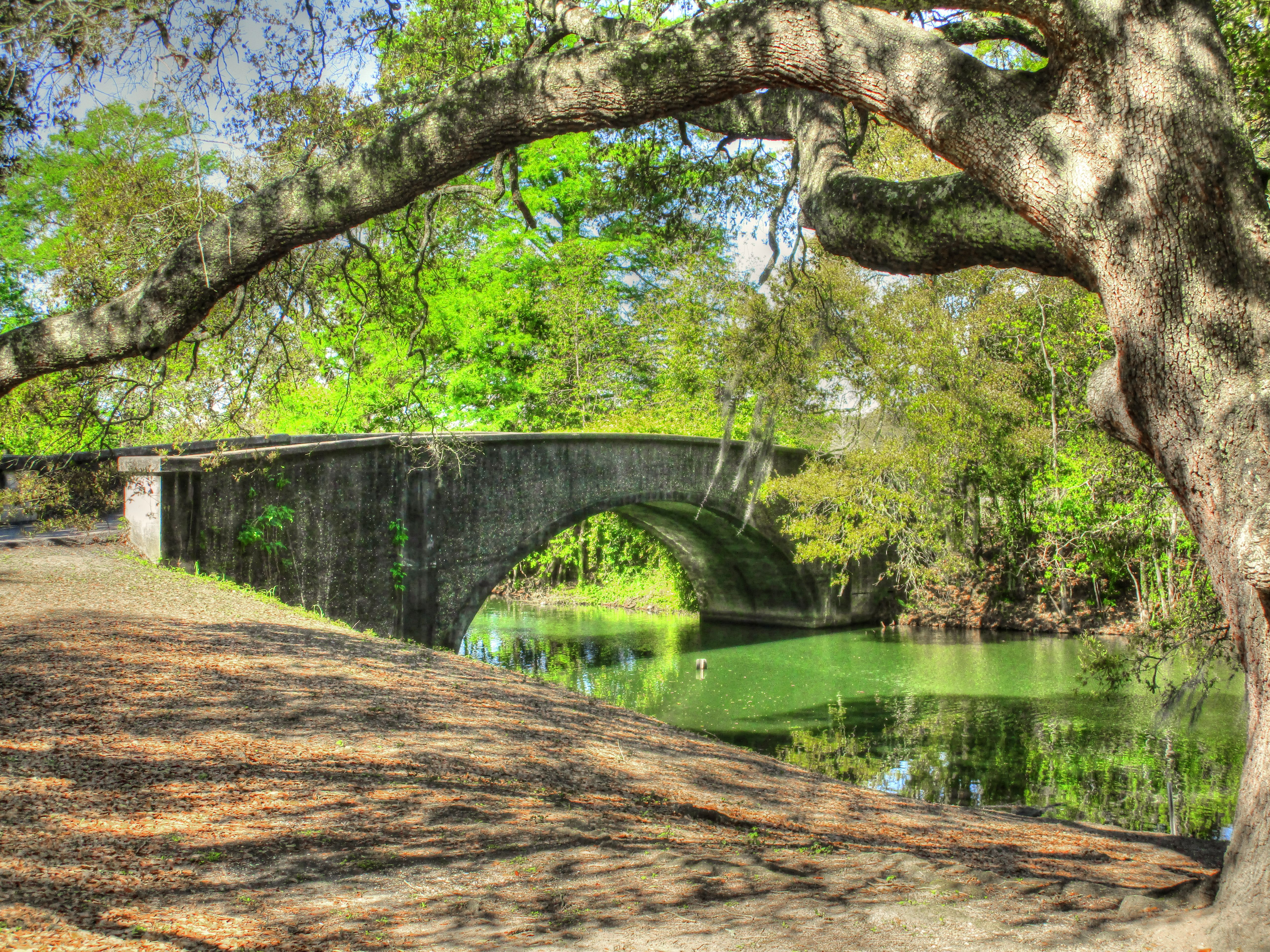 Audubon Park