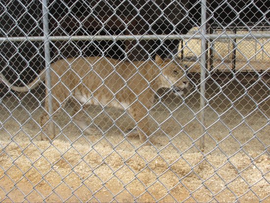 The Barry R. Kirshner Wildlife Foundation