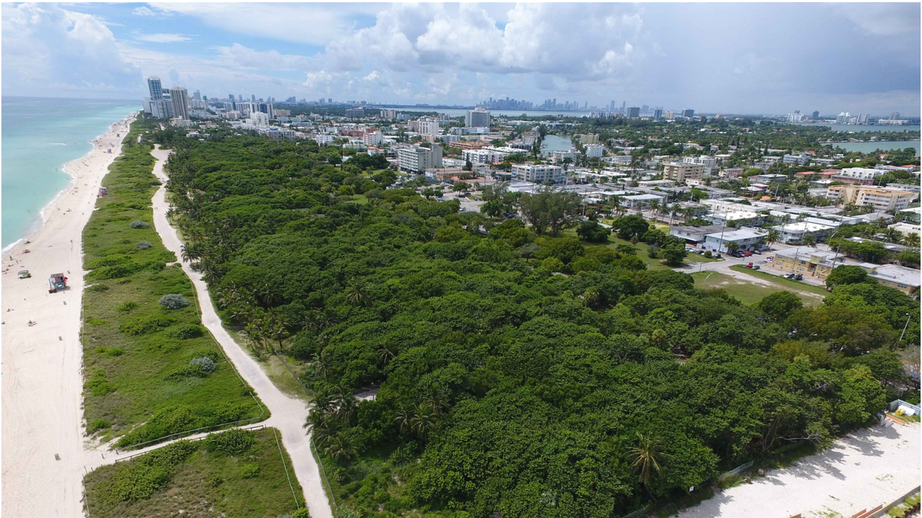 North Shore Open Space Park