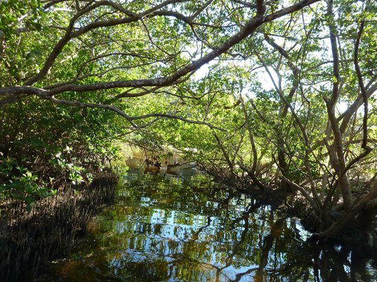 Robinson Nature Preserve