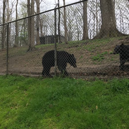 West Virginia State Wildlife Center