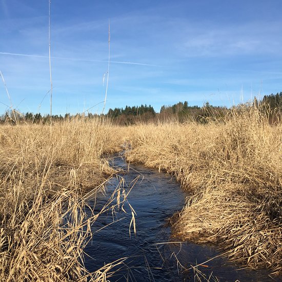 North Creek Park