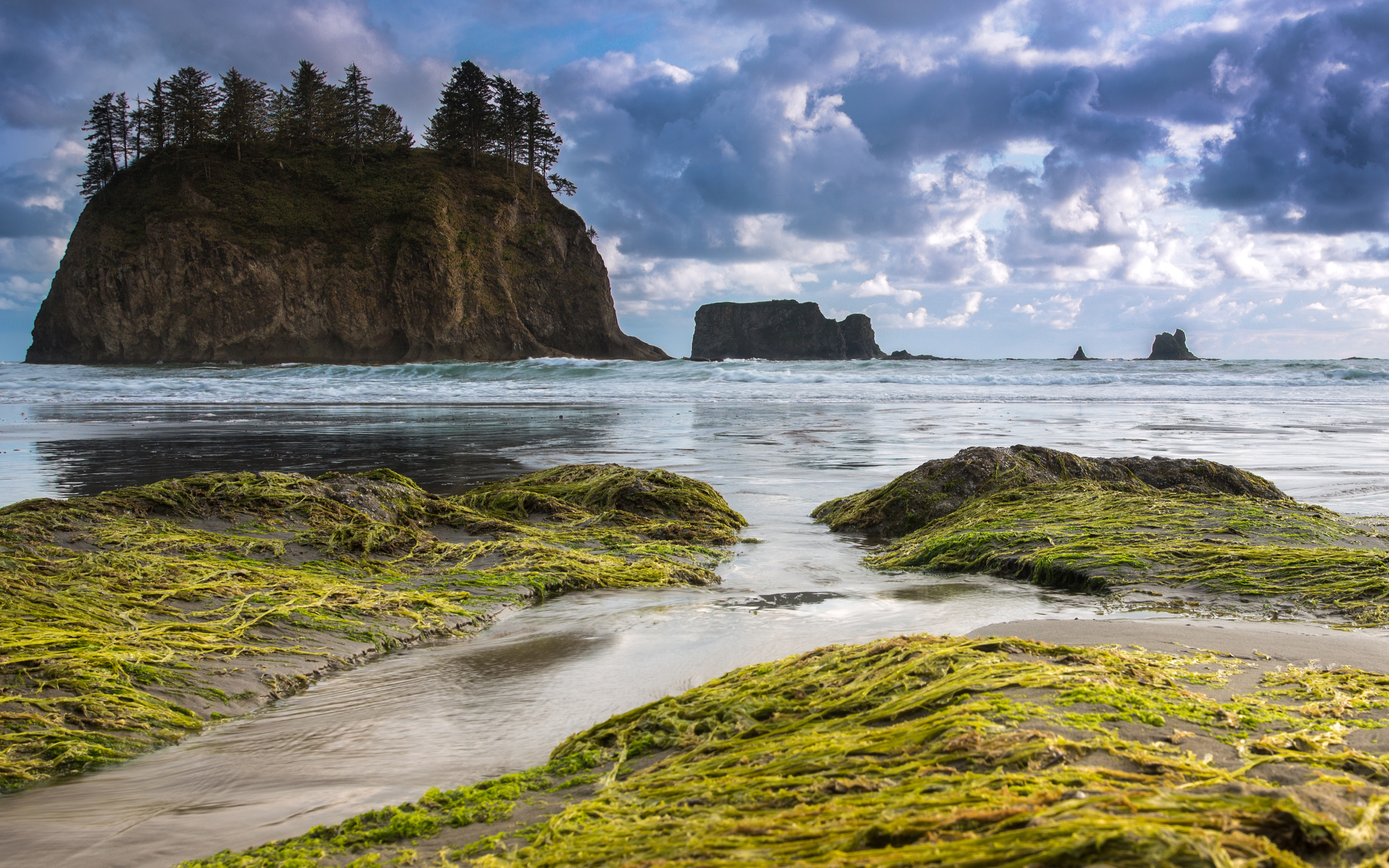 Olympic Peninsula
