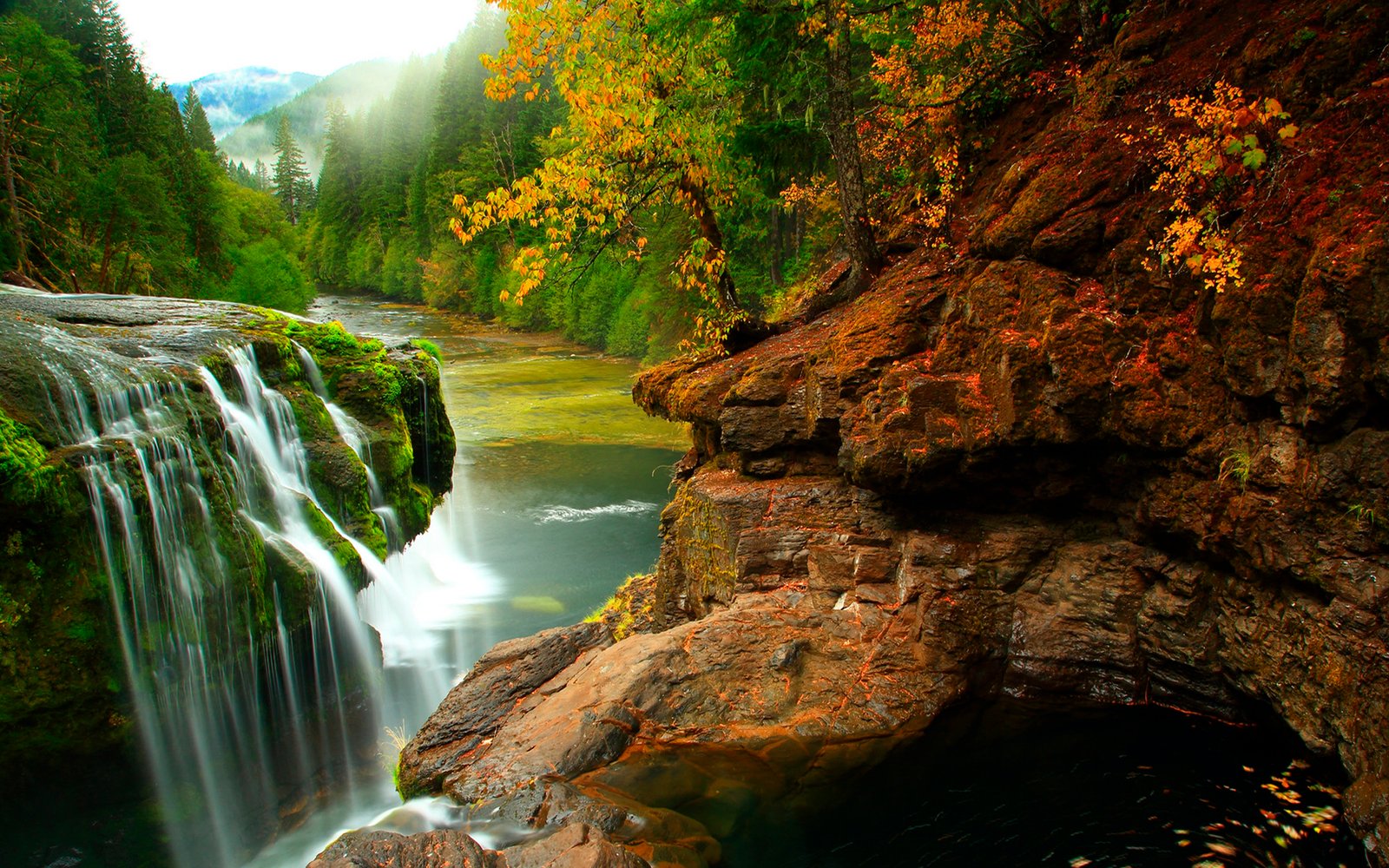 Gifford Pinchot National Forest