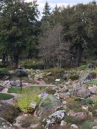 Jardin d'altitude du Haut Chitelet