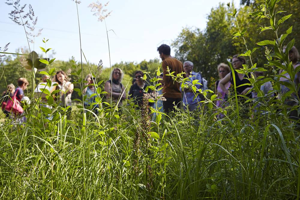 Conservatoire botanique national de Bailleul