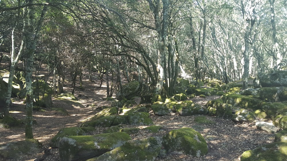 Parc Naturel d'Olva