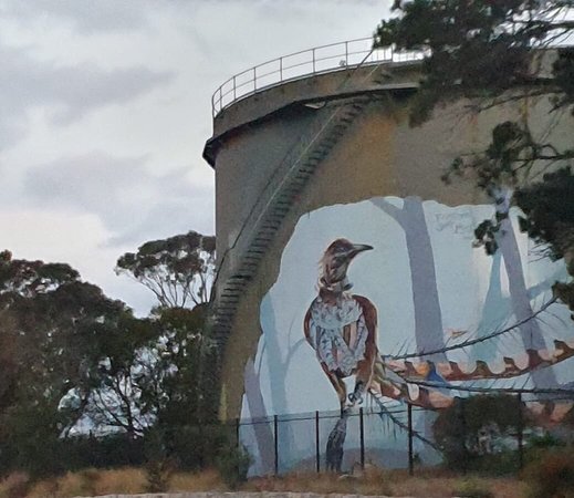 Lyrebird Mural