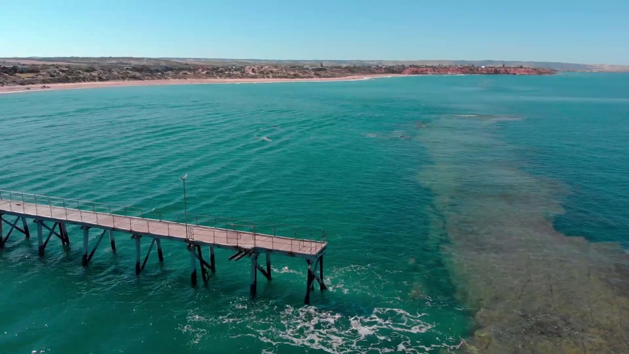 Port Noarlunga Reef
