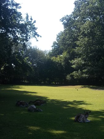 Kinderboerderij Pietersheim