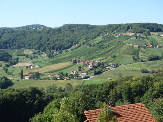 Gesamtsteirische Vinothek