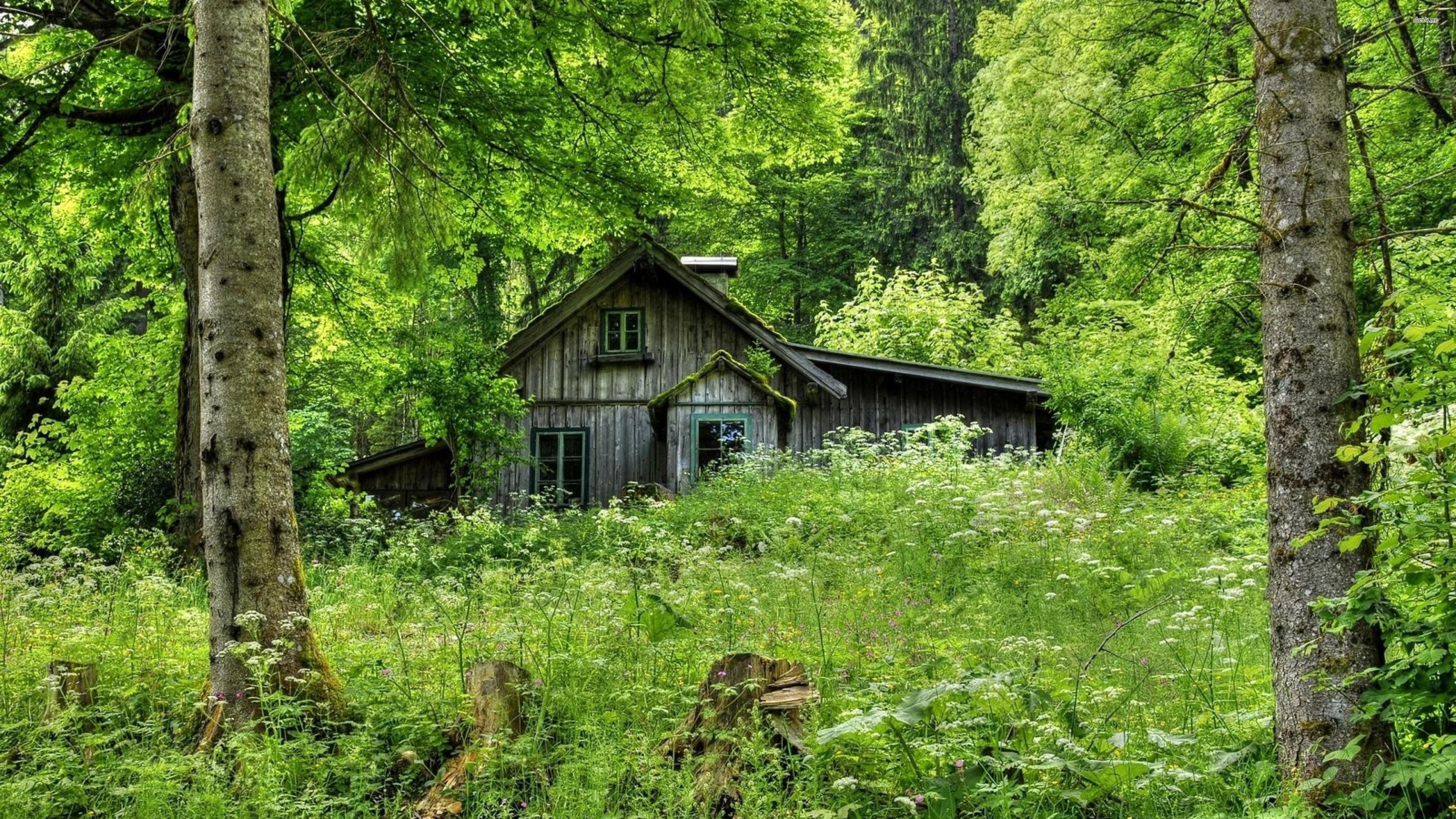 Home Frit' Home