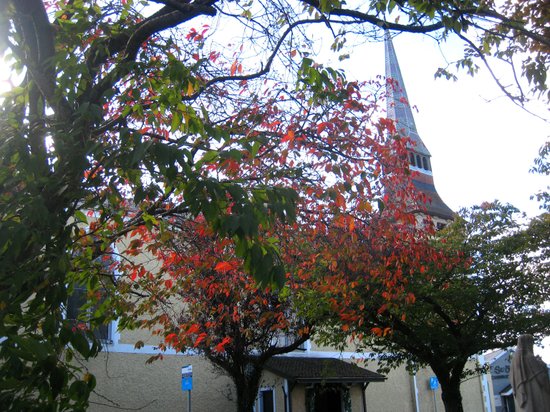 Outdoor Pictures 1