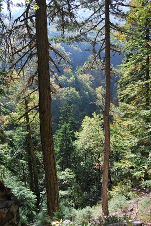 Outdoor Pictures 1
