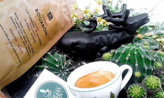 Brazilian Green Cup Espresso Bar