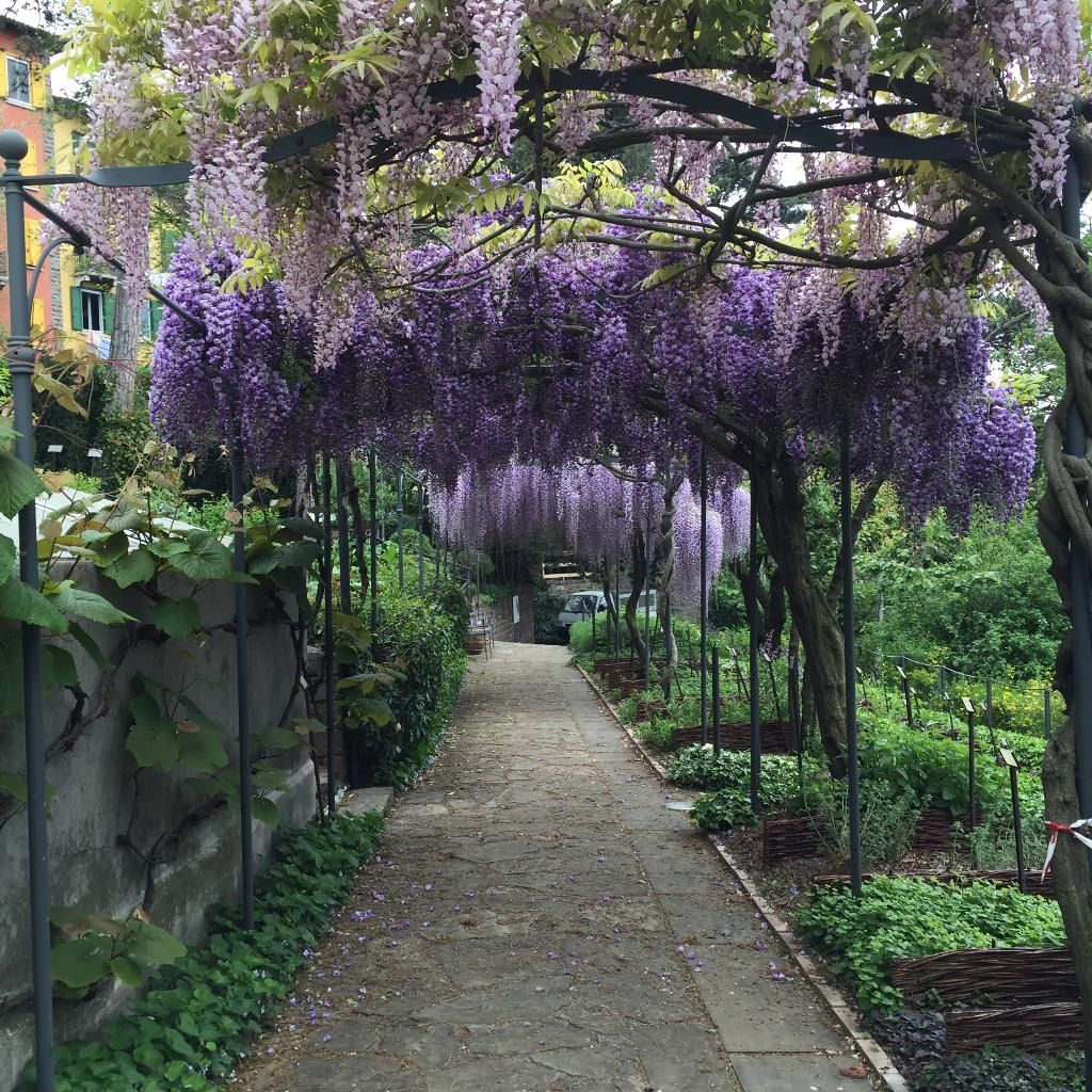 Botanical Garden of Trieste