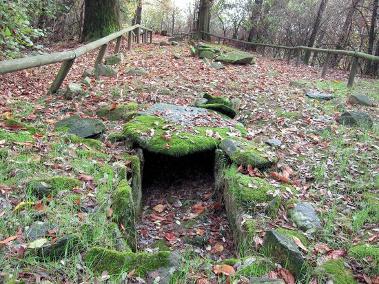 Parco dei Lagoni di Mercurago