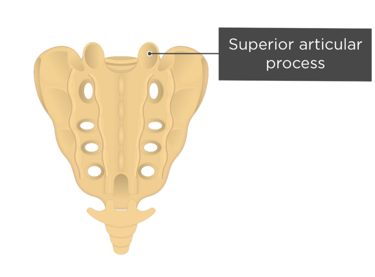 Ver Sacrum