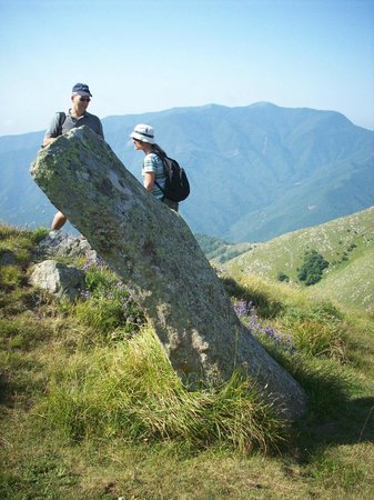Menhir