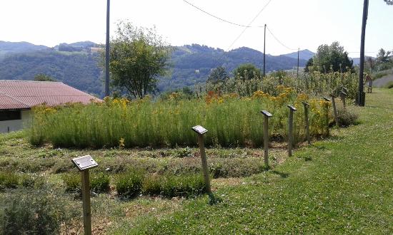 Giardino delle Erbe Augusto Rinaldi Ceroni