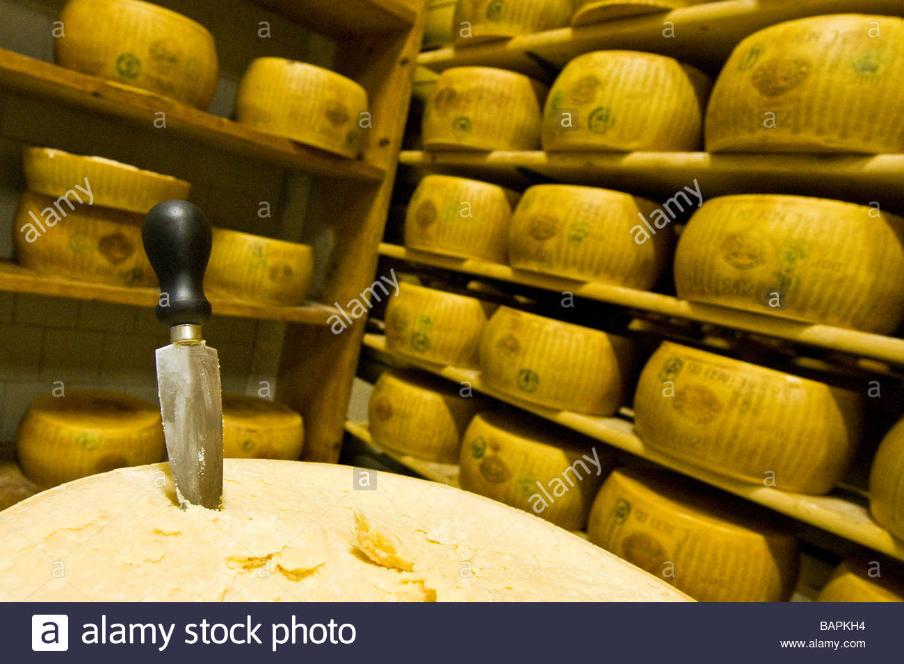 Cooperativa Casearia Castelnovese Parmigiano Reggiano