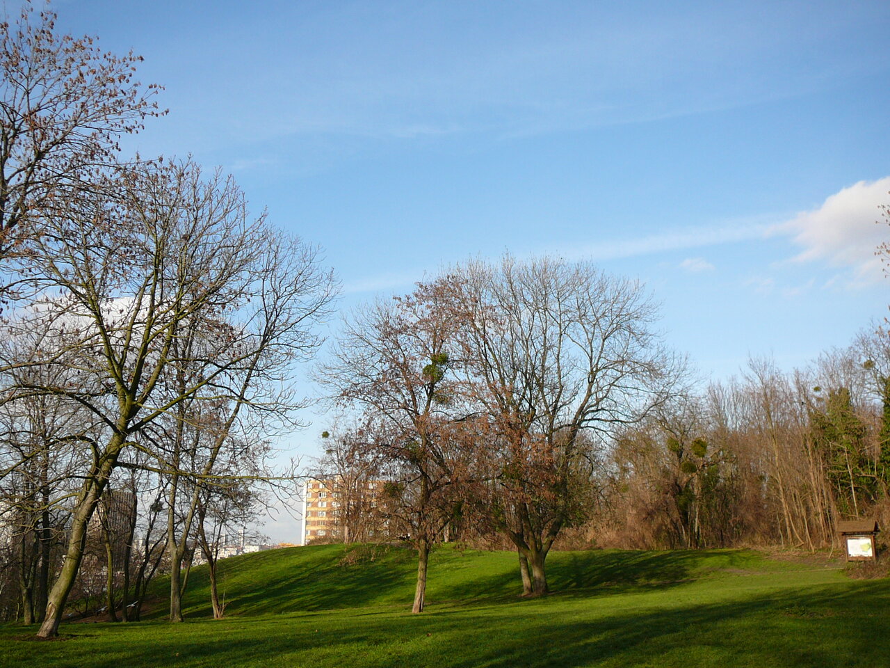 Outdoor Pictures 1