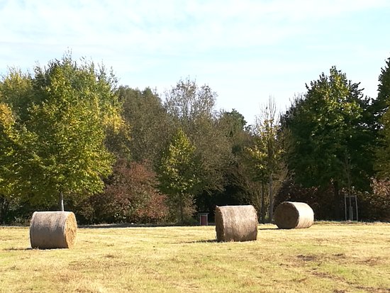 Outdoor Pictures 1