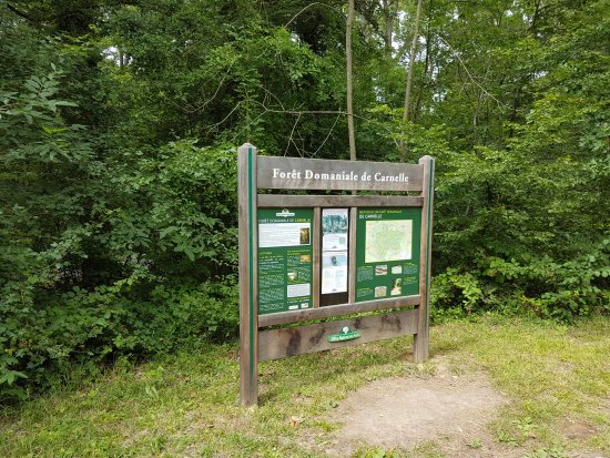 Forêt de Carnelle